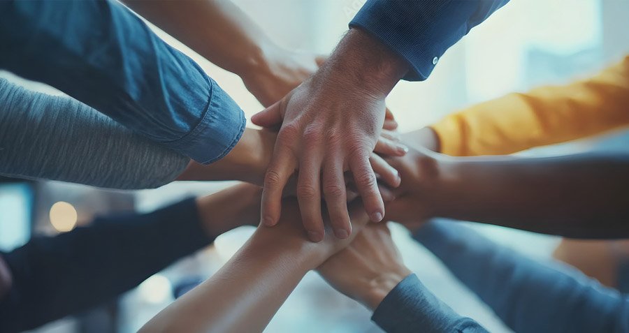 Descripción de la imagen